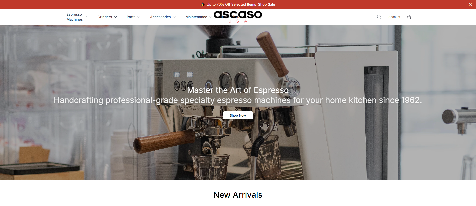 Stored capture of ascasousa.shop