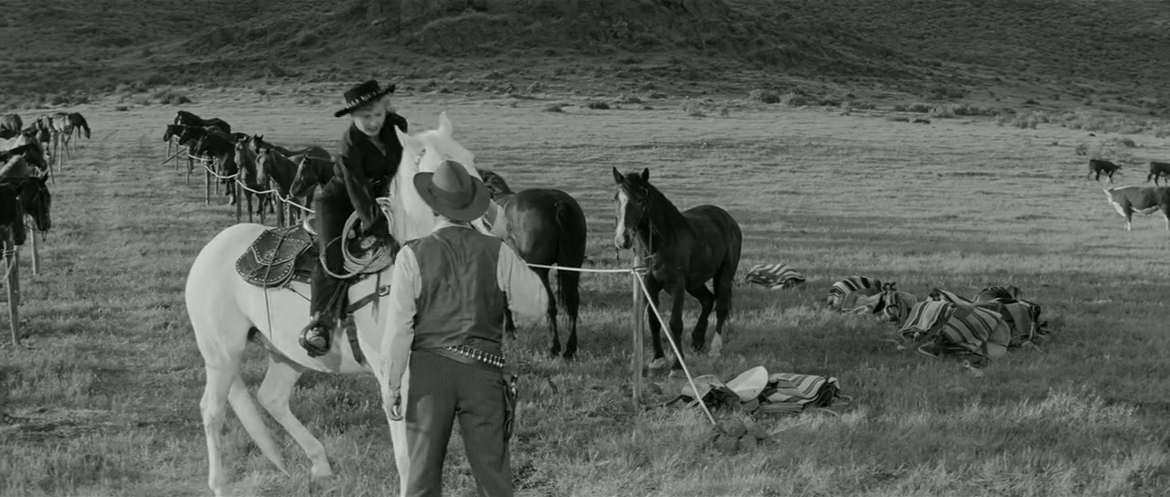 Forty Guns Screenshot