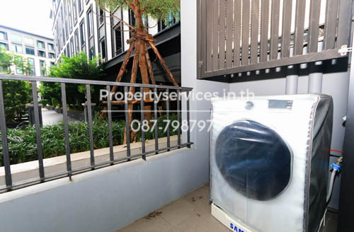IMG 8445.jpg