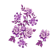 d182eeb8ff6e154be843c0bee679fd7d