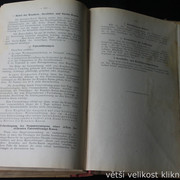 IMG-4246