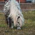 DSC01896