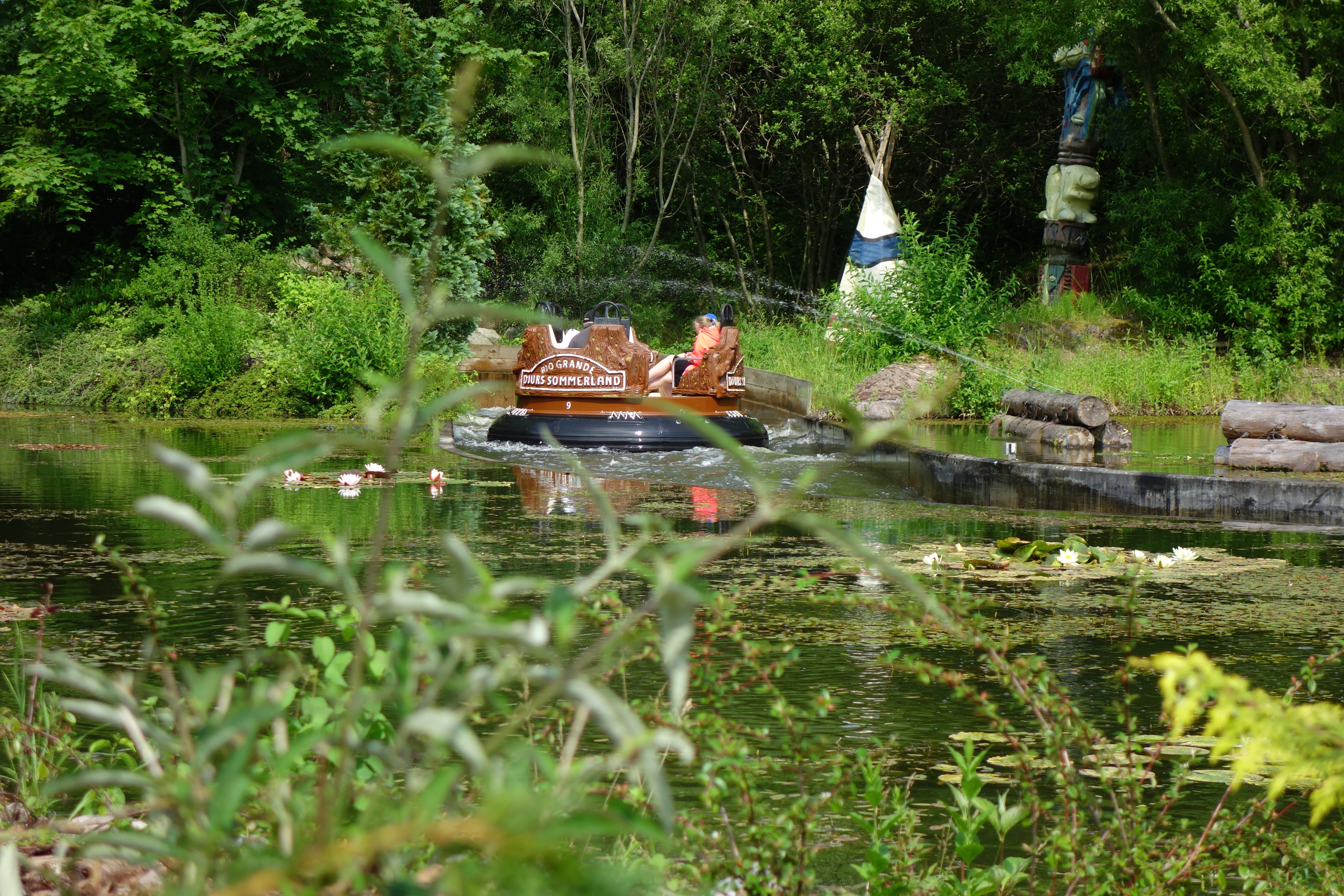 DSC09966