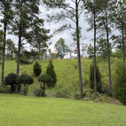 IMG 7631