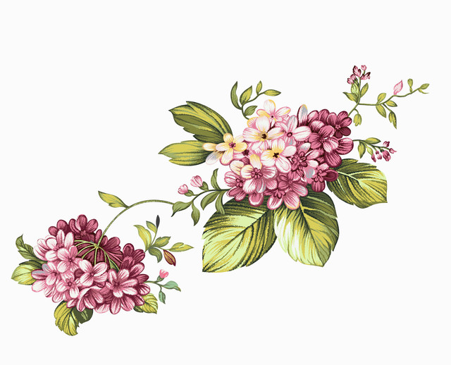 shutterstock 2347342467.jpg