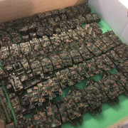 IMG-6624