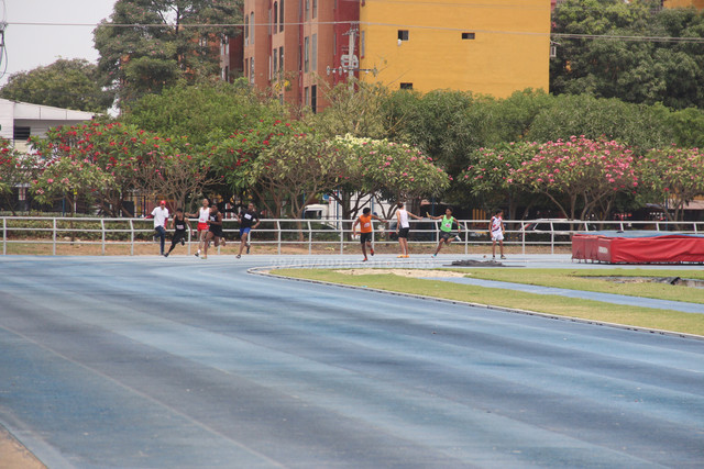 IMG-0463.jpg