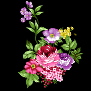 c83596931990902b7f99231f046ef5e7