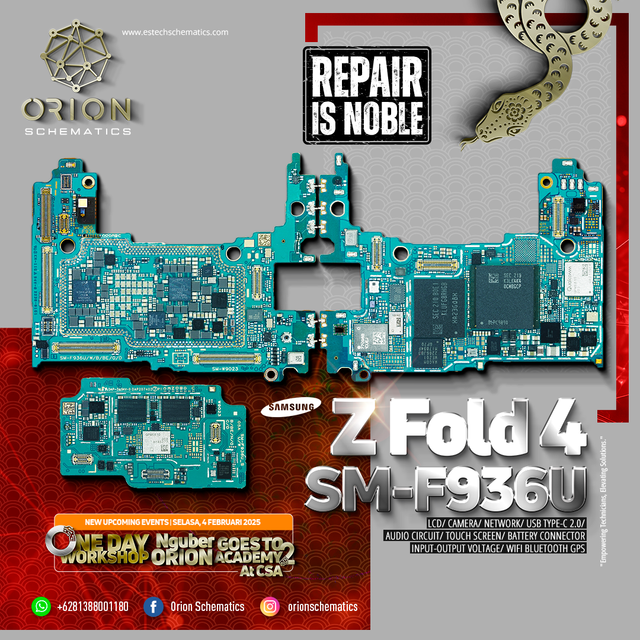 ORN-DB-ZFOLD4-FEED-WA
