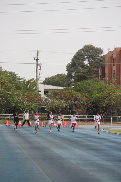 IMG-0167.jpg