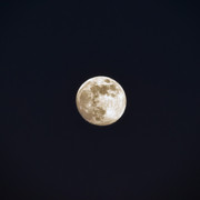 IPB Image