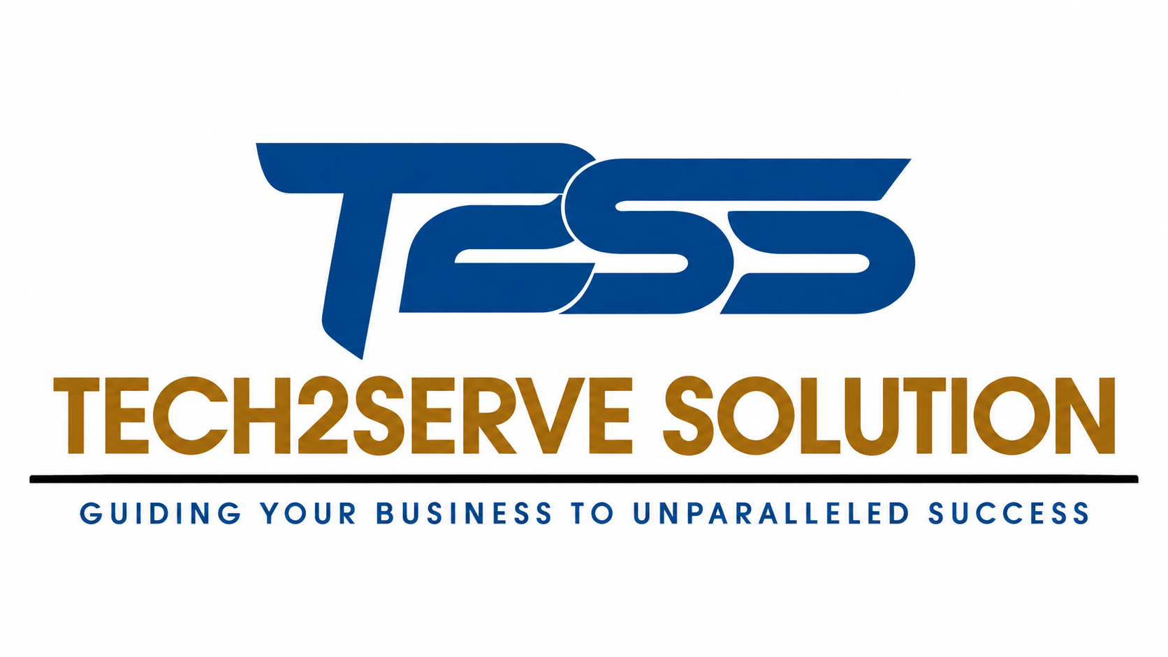 TECH2SERVE SOLUTION PRIVATE LIMITED