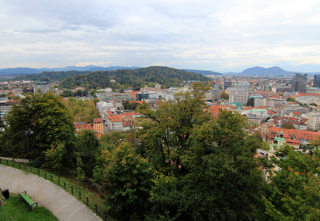 IMG-9954.jpg