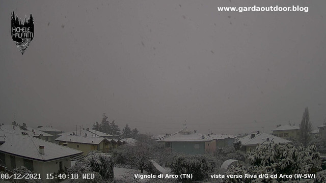 cam8dic6