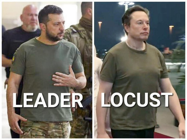 Elon