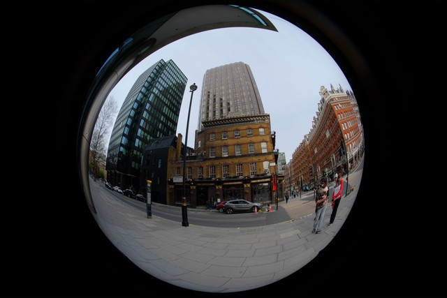 DSCF8883.jpg