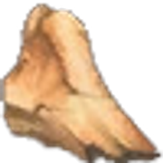 Sturdy-bone