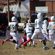 IMG-3231