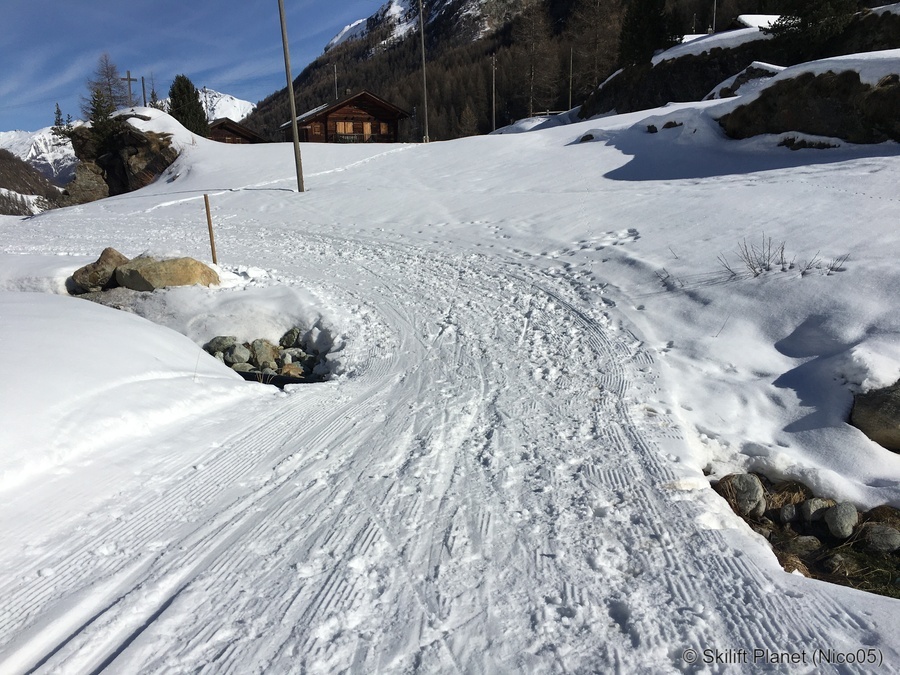 IMG-8196.jpg