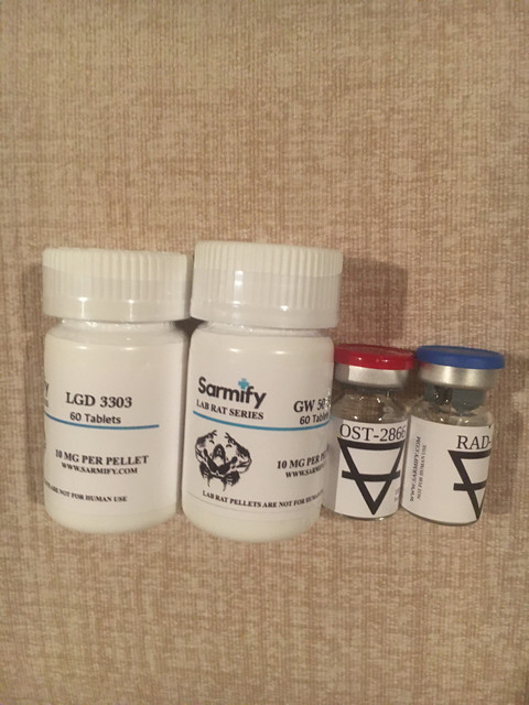 sarmify-order