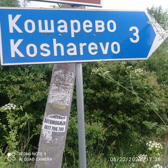 29-kosharevo