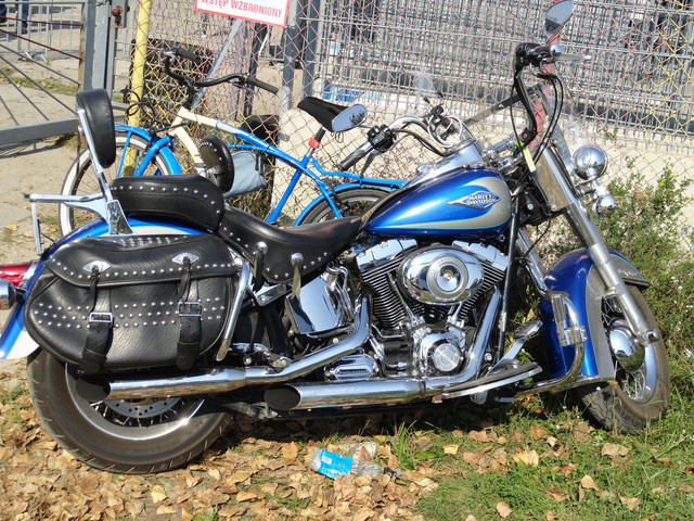Harley1