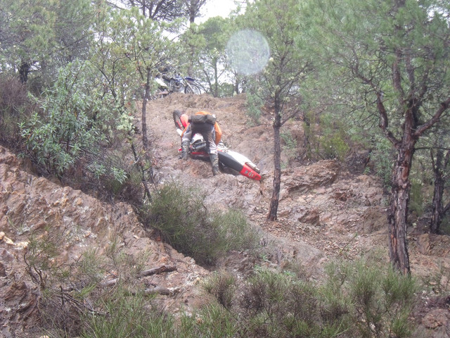DSCF1237.jpg