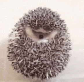 WkAa.gif