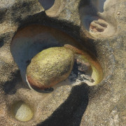 DSCF8594