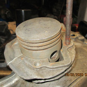 IMG-8377