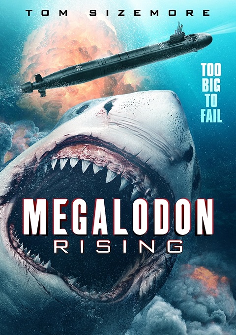 Megalris.jpg