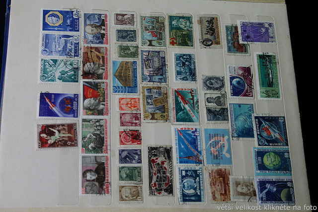 IMG-6962.jpg