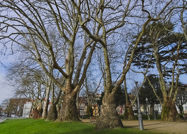 IMGP5917