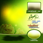 2024 -TAMIL FLEX COLLECTION
