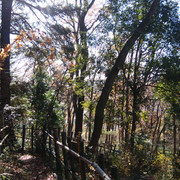 IMG-20221214-122227