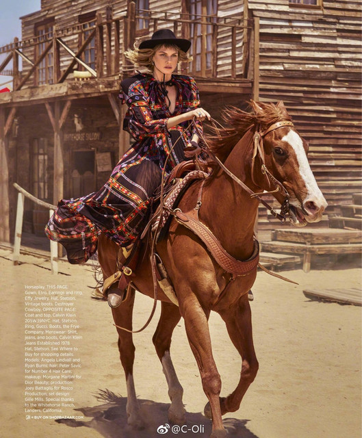 IMG 3061