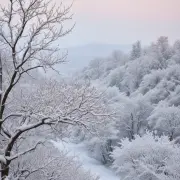1000013573