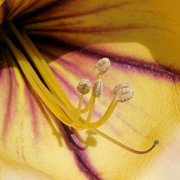 IMG-1127