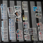 IMG-1996