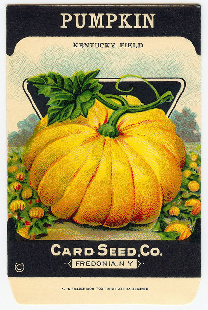 pumpkins-field-graphicsfairy