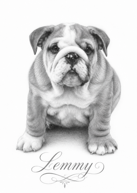 83031.png