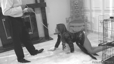 [Image: 6.gif]