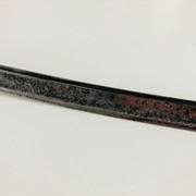 IMG-E2989
