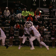 IMG-7343