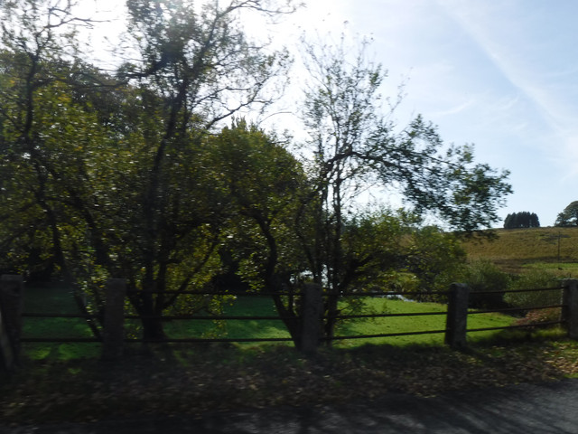 DSCF5515.jpg