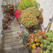 IMG-7783