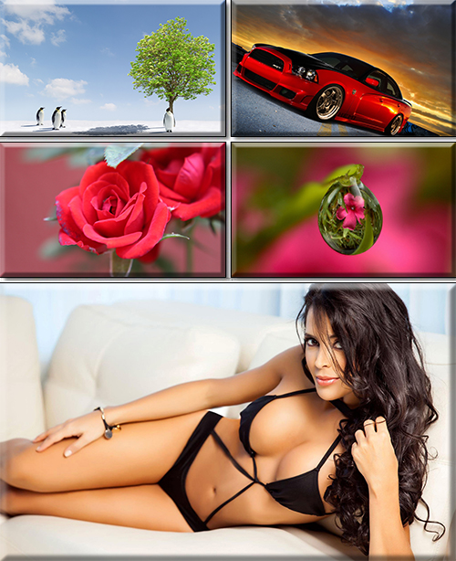 Quality Wallpaper In High Resolution. Part 361