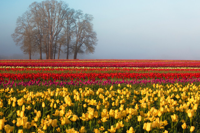 spring-062