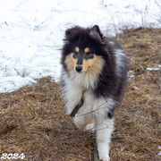 IMG-2292