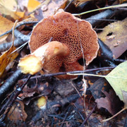 DSC00152